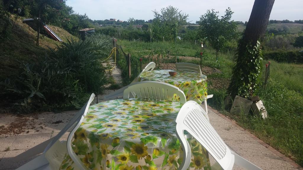 Le Querce Bed & Breakfast อังโกนา ภายนอก รูปภาพ